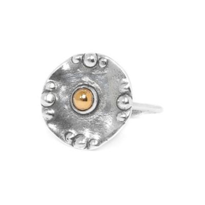 Anillo placa