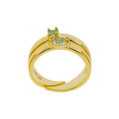 Anillo doble