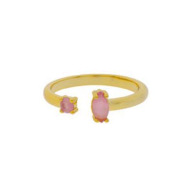 Anillo ajustable