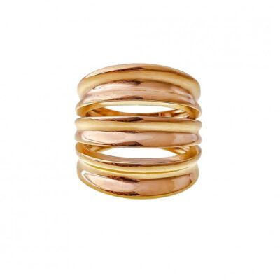 Anillo Tamm