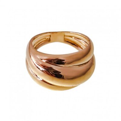 Anillo Damm