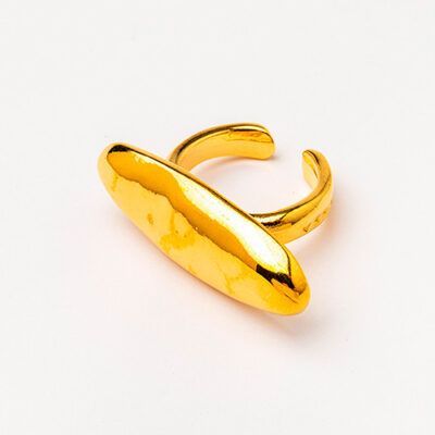 Anillo Vicc
