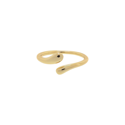 Anillo Gaudy