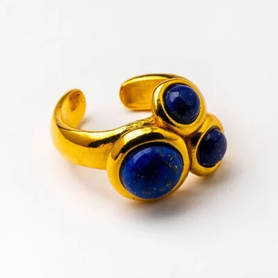 Anillo Vega